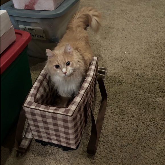 Geerduo Pet Carrier Tote - Picture 14 of 14